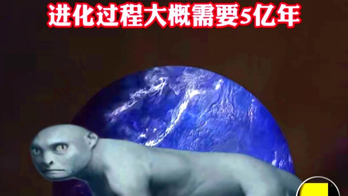 进化视频最新,进化视频最新，背景、发展、影响及其在时代中的地位