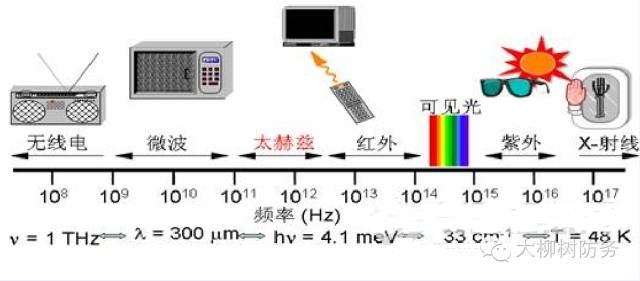 前沿磁波技术，温馨的探秘之旅