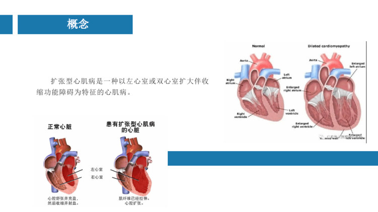 第1195页