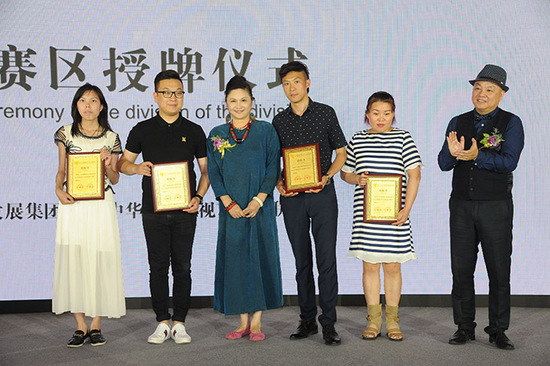 2017电视选拔演员比赛,2017电视选拔演员比赛，梦想与才华的交汇