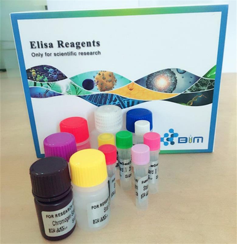 科技革新引领生活便捷化，最新试剂盒资讯一网打尽