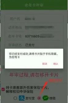 老年卡最新资讯揭秘，巷弄深处的隐藏瑰宝
