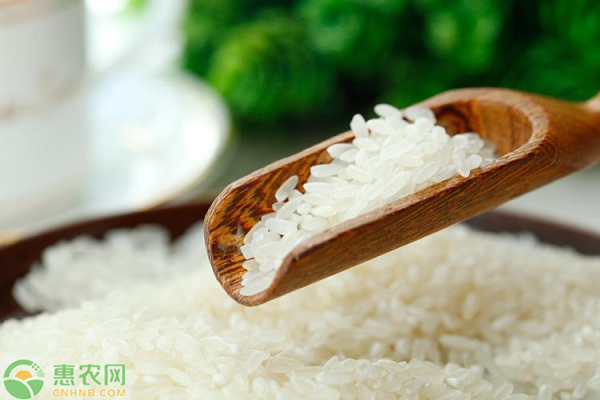 大米行情,大米行情分析