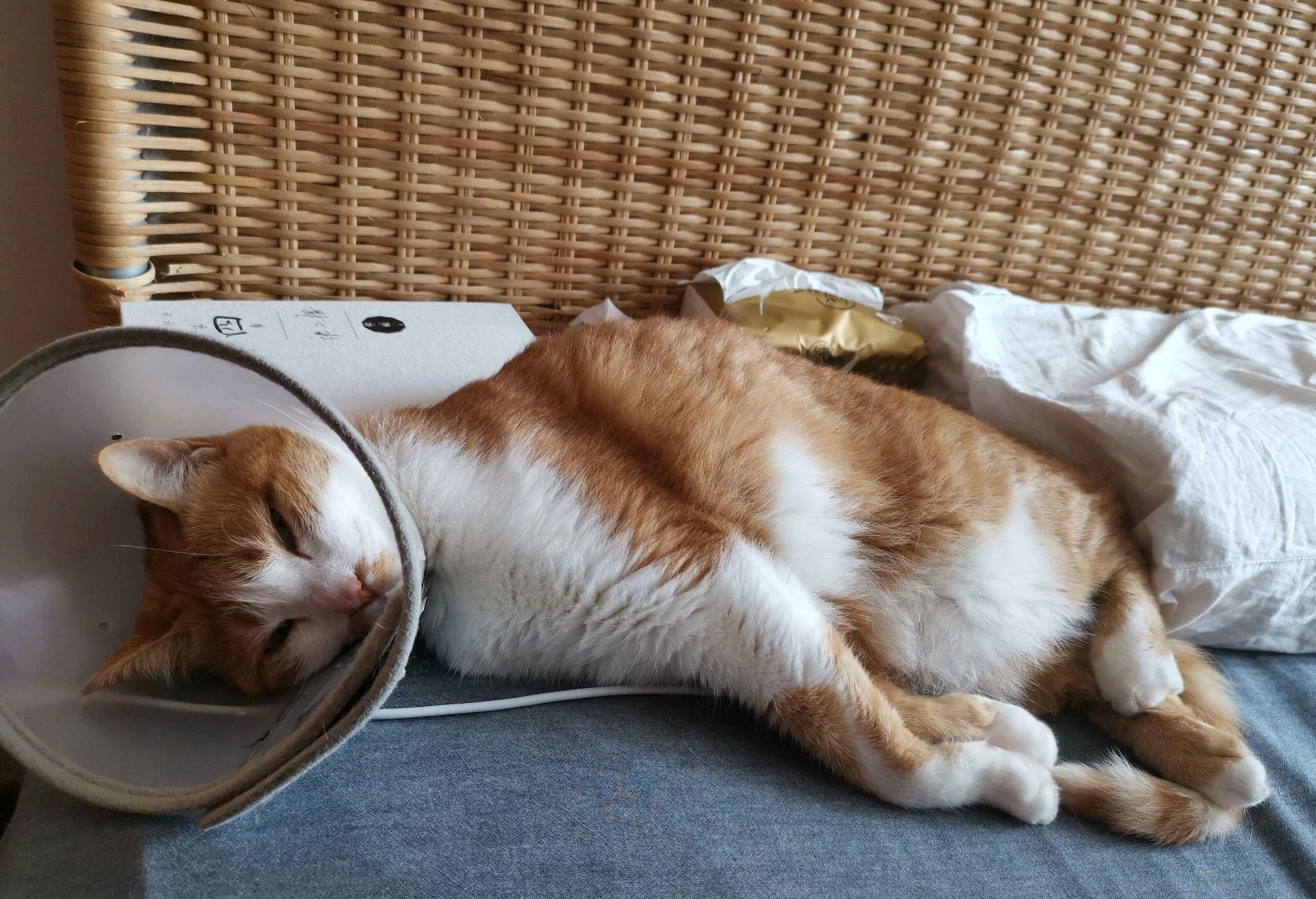 科技重塑生活，前沿高科技产品体验新纪元