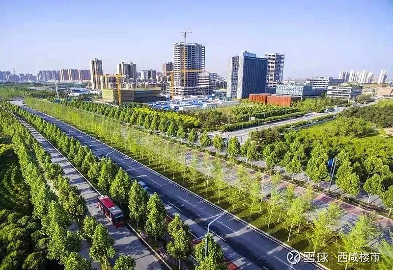 沣西新城大王，科技巨擘重塑未来之城的生活魅力