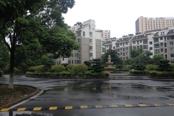 文昌苑最新高科技产品展示，未来生活触手可及，科技魅力无限体验