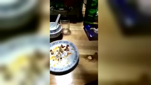 姜小白最新动态揭秘，魅力人生的轨迹！