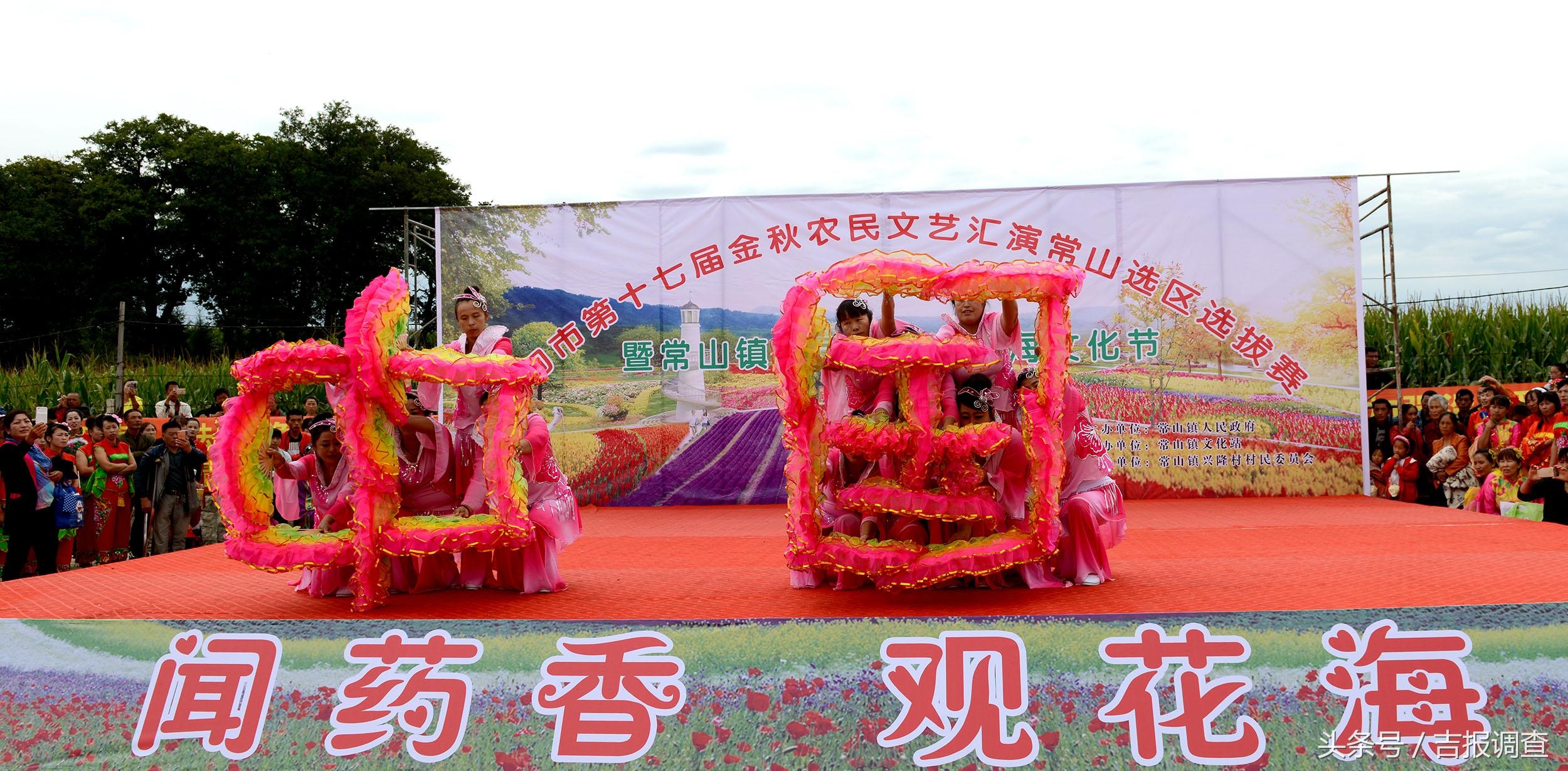 常山最新招聘信息大全，获取指南与机会解读