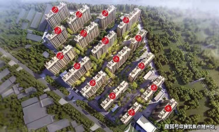 青云店女尸最新揭秘，震惊消息传遍小红书！