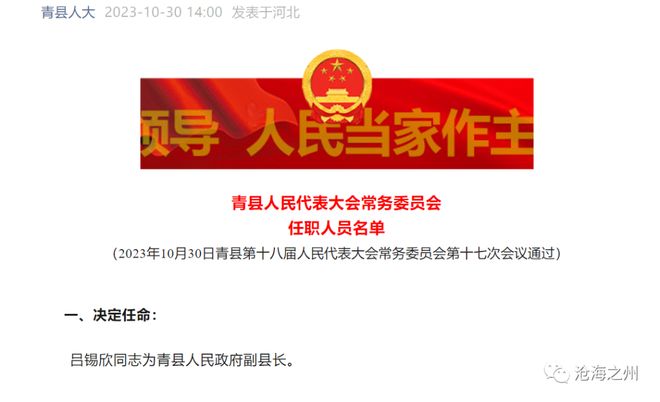 沧州人事调整最新消息，友情故事中的温情变革