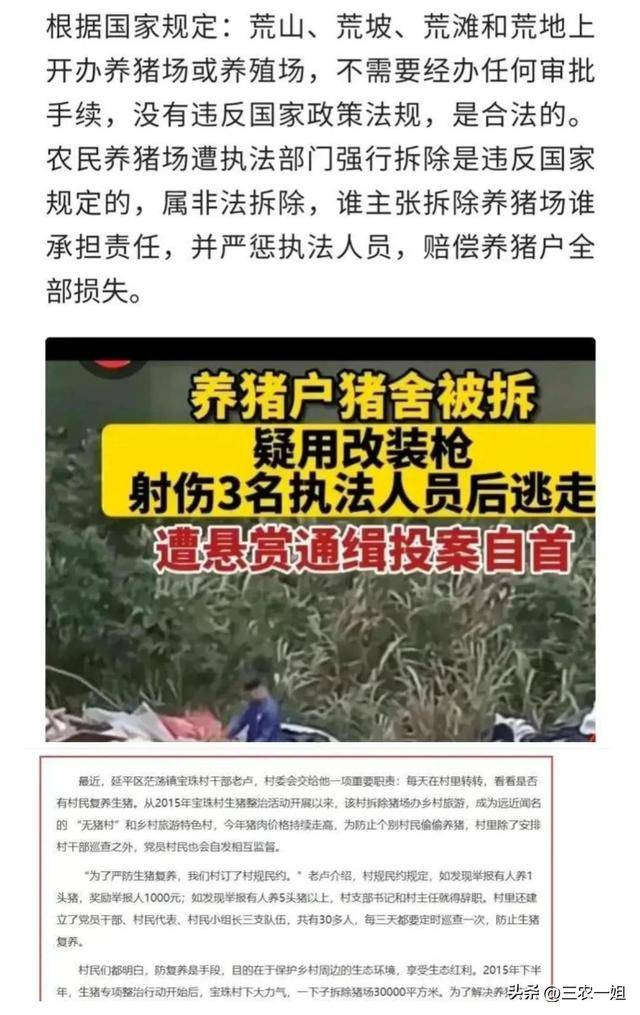 猪场强拆最新动态，探索自然美景之旅的进展与影响